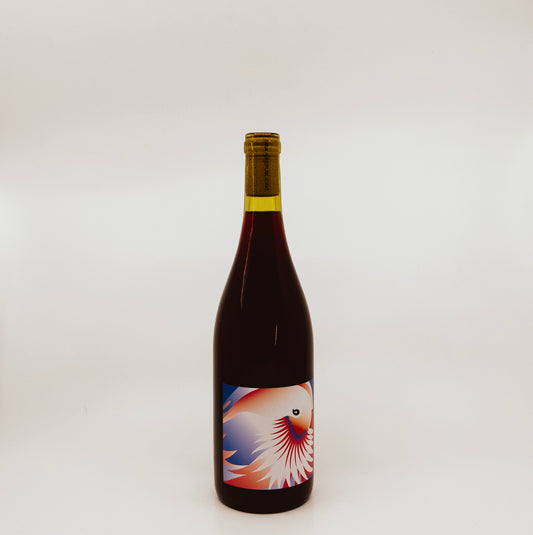 Grape Republic "Bailey A" 2021 Yamagata Red