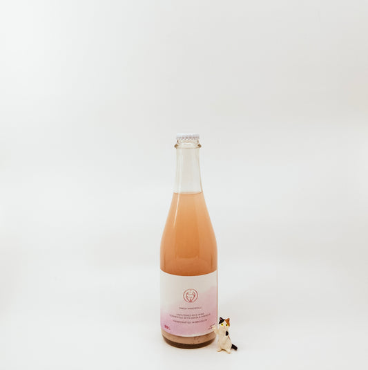 glass bottle next to cat figurine