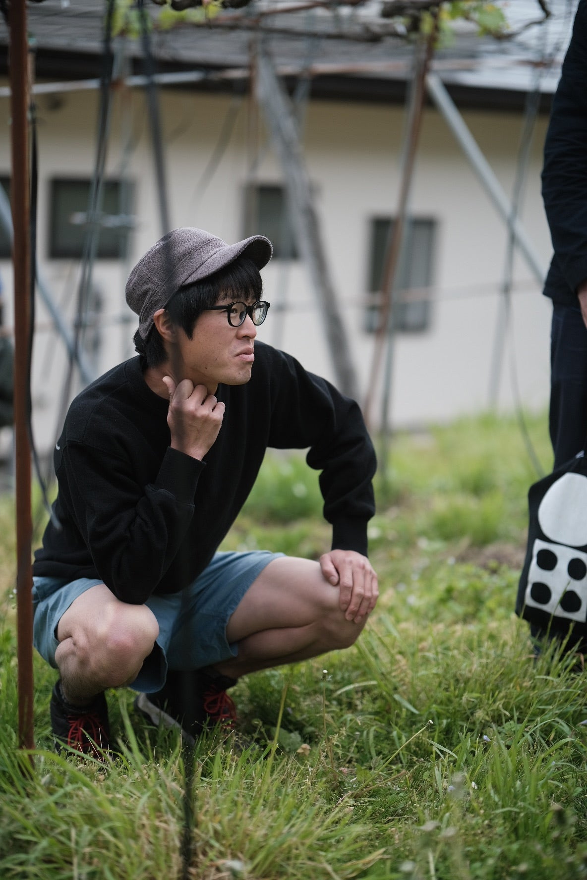 Japanese Natural Wine: Grape Republic Sampler (2022)